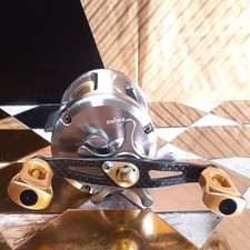 Daiwa Millionaire CV-X 300