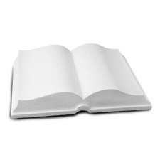 Libro polistirolo aperto - libro,