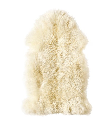 Pelle pecora bianco - pelle, pecora,
