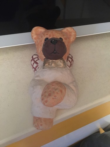 Orsetto orso animale - orso,