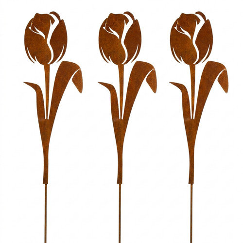 Tulipani figure da - tulipani,