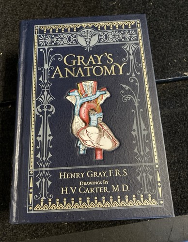 Grays anatomy leather - grays,