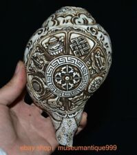 Strumento corno tromba conchiglia conchiglia conchiglia simbolo cinese antico 6,8"