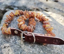 Collana per cani ambra baltica