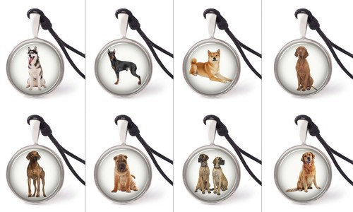 Collana cane varie razze