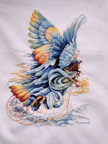 Angel paradise bird lady - paradise,