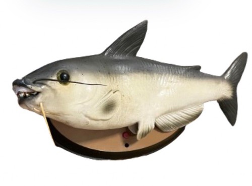 Cool catfish the - cool, fish