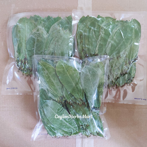 Foglie graviola soursop - graviola,