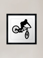 downhill mountain bike, enduro
