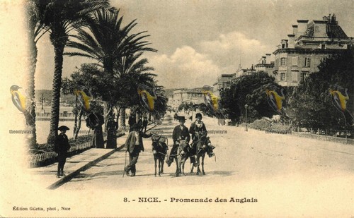 Nice promenade des - des, anglais