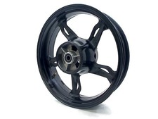 CERCHIO POSTERIORE BMW G 310 R