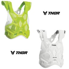 2025 Thor Sentinel LTD Race