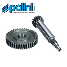 Polini 2021318 Ingranaggio Primario Allungato YAMAHA BELUGA 50  AZ=14-43