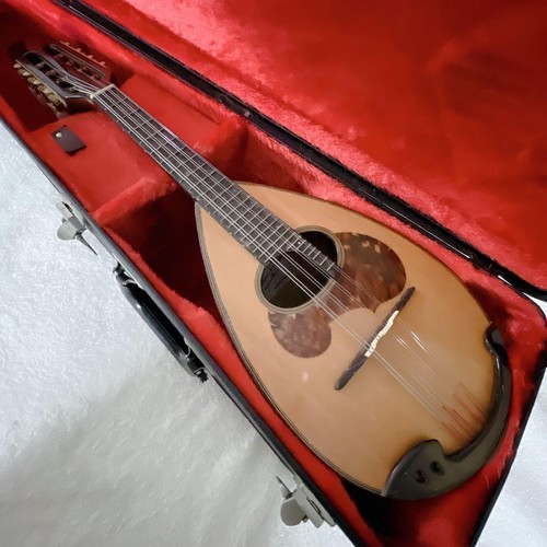 Suzuki mandolino con - suzuki,