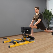 Multifunction Sissy Squat