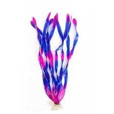 PIANTA 30 CM PIANTINA