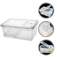  Terrario Per Rettili