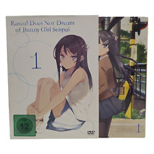 Rascal Does Not Dream of Bunny