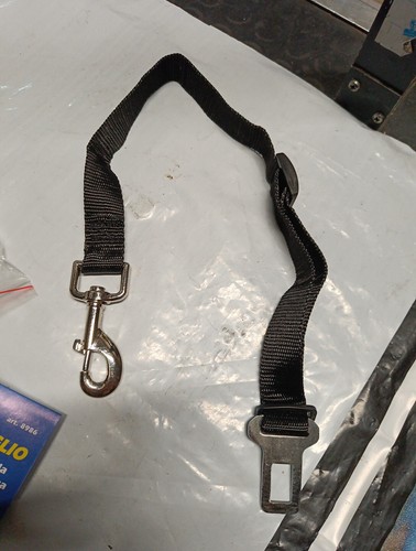 Cintura sicurezza per cani - cintura,
