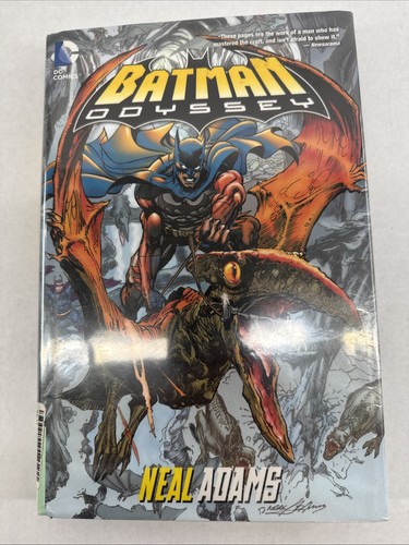 Batman odyssey copertina - batman:,