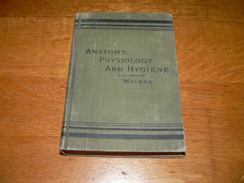 Antique 1895 anatomy - antique,