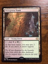 Overgrown Tomb (Borderless)