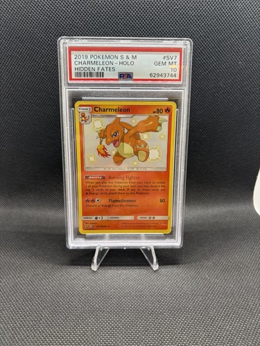 Pokemon 2019 destino - pokemon, s&m