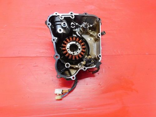 Carter statore magnete - statore,