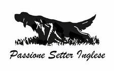 ADESIVO Setter Inglese Passione Scolopax Rusticola Beccaccia beeper caccia Hunt