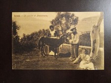 1909 il ciuccio (asinello) di Pascariello a Sorrento (Napoli) costumi locali