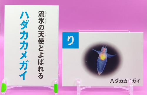 Carta karuta angelo del - karuta,