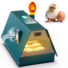 Incubatrice automatica Fino A 10 uova Di Gallina e uccelli Temperatura Stabile