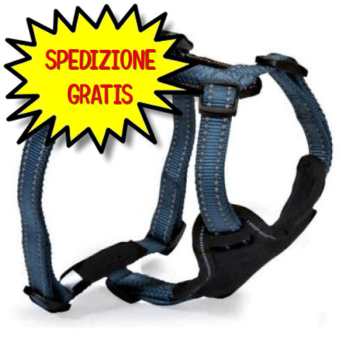 Camon pettorina neoprene - pettorina, 5