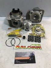 318437 GRUPPO TERMICO MALOSSI