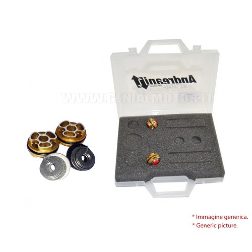Andreani kit pistoni pompanti - andreani,