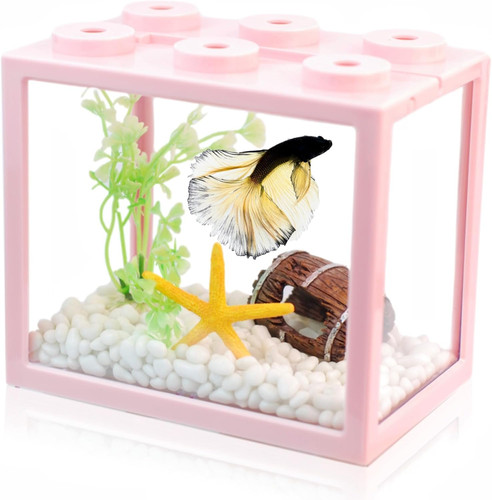 Piccola vasca per pesci betta - vasca,