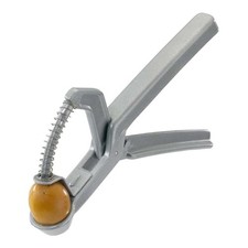 Snocciola Olive Olivus