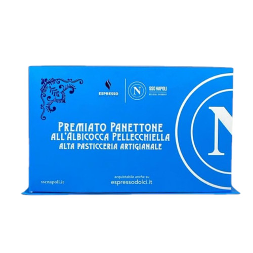 Premiato panettone artigianale - panettone,
