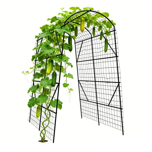 Supporto cetrioli rete - , per
