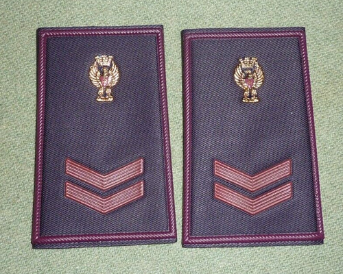 Assistente polizia gradi - assistente,
