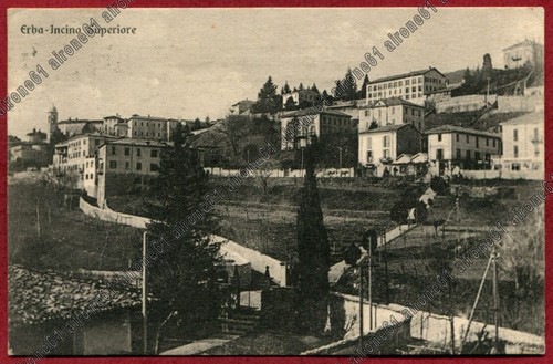 Como erba incino - como,