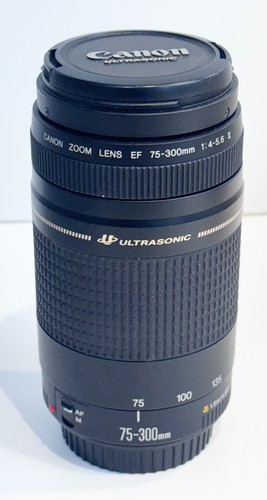 Obiettivo canon 300mm - obiettivo, 75-300mm