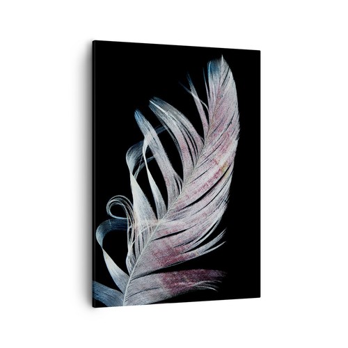 Quadro tela 50x70cm piuma - tela, i