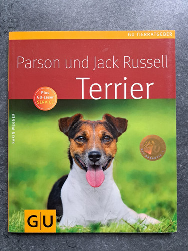 Parson jack russell terrier - jack,
