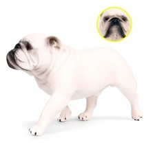 Bulldog Bianco Cane Animale