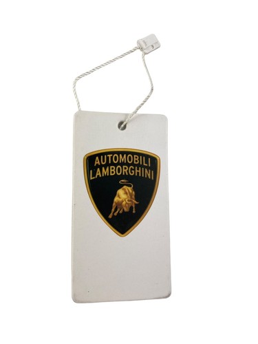 Automobili lamborghini - automobili,