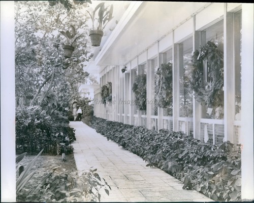 1961 fort lauderdale patricia - 1961,