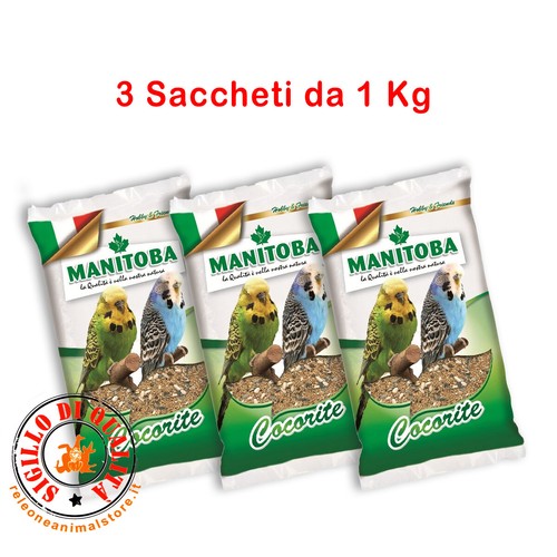 Manitoba cocorite biscuit kg - manitoba,