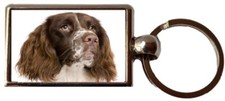 Springer Spaniel Luxury Double
