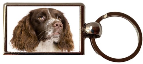 Springer spaniel luxury double - springer,